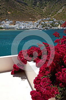 bougainvillea with the ocean and a greek town in background