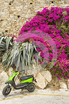 Bougainvillea and a scooter in Greece
