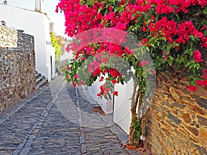 Bouganvillia and cobbled street through the town of Monsaraz, Portugal