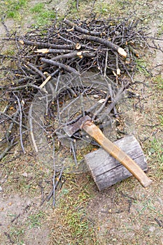 A boughs, an ax and a log on the grass.