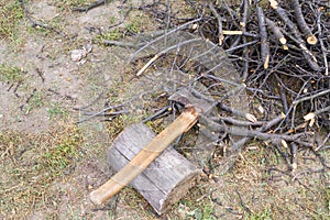 A boughs, an ax and a log on the grass.