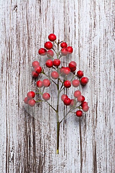 Boughs of holli network, on rustic wood