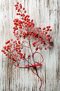 Boughs of holli network, on rustic wood