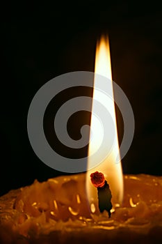 Bougie on dark background.