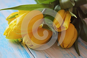 Bouguet yellow tulips on a blue wooden background laid out on ton close-up.