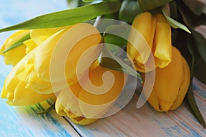 Bouguet yellow tulips on a blue wooden background laid out on ton close-up.