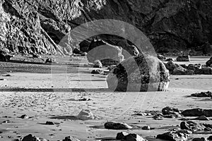 The Boulder Black and White