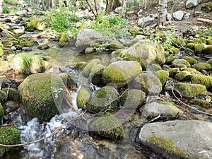 Boulder creek getaway