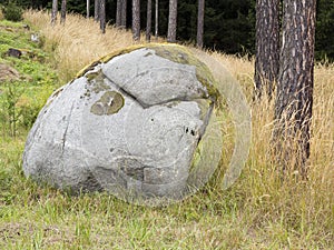 Boulder in forest