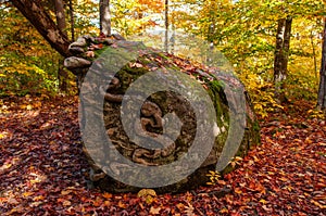 A boulder in a forest with a snake carving on it