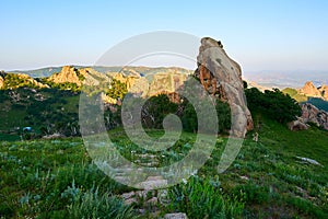 The boulder moorstone on the high mountain meadow