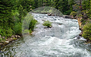 Boulder river rushing through lush forest in Montana photo