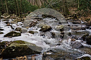 Boulder in Stony Creek