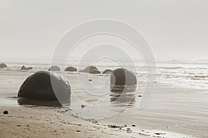 Boulders at the beach of Moeraki New Zealand