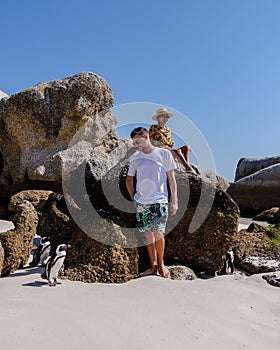 Boulders Beach in Simons Town, Cape Town, South Africa. Beautiful penguins. Colony of African penguins