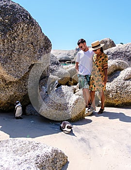 Boulders Beach in Simons Town, Cape Town, South Africa. Beautiful penguins. Colony of African penguins