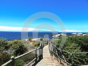 Boulders Beach South Africa