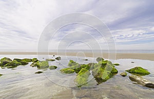 Boulders covered with moss lie in a puddle on the beach in the Netherlands. The puddle water is smooth, the rocks are reflected,