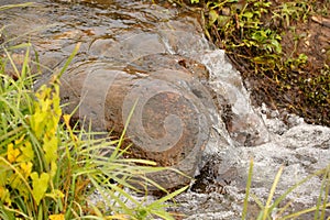 boulders in creek with water cascading over