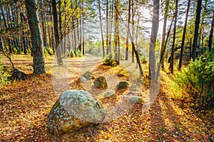 Boulders from the Ice Age in beautiful wild autumn forest