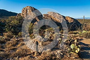 Boulders and Landscape at Saguaro National Park in Southern Arizona