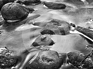 Boulders and rocks in a stream, black and white. Marine and ocean theme.