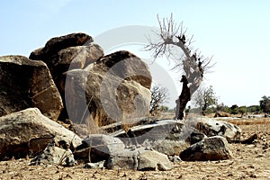 Boulders in Savanna landscape