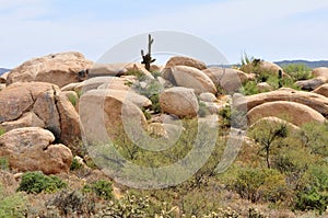 Boulders Sonora Desert Arizona photo