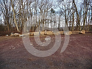 Boulders and Tree Stumps Forming Natural Barrier in Nature Site Parking Area