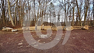 Boulders and Tree Stumps Forming Natural Barrier in Nature Site Parking Area