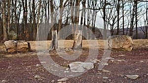 Boulders and Tree Stumps Forming Natural Barrier in Nature Site Parking Area