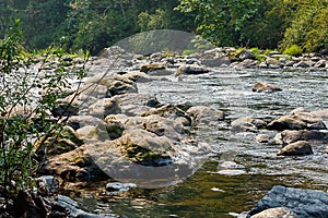 Boulders and trees along the edge of the green river in washingt