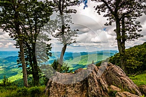 Boulders, trees, and view of the Blue Ridge at an overlook in Shenandoah National Park