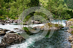 Boulders with vegetation in a river