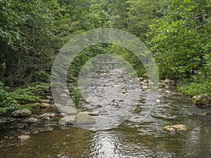 Boulders in Whitetop Laurel Creek