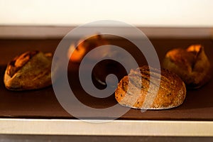 Boule loaves in the oven