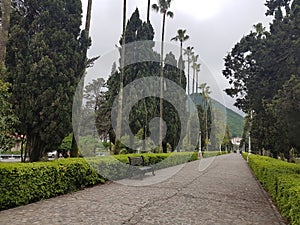 A Boulevar in Ramsar green trees and bushes