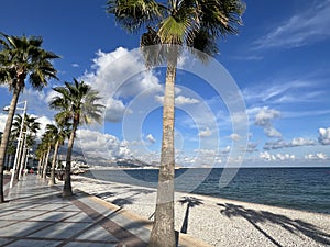 Boulevard in Albir