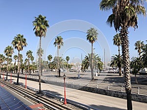 Boulevard around Darsena Nacional Marina at Port Vell