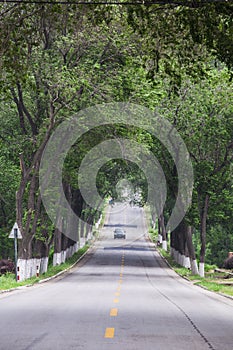 Boulevard, shandong rural roads in China