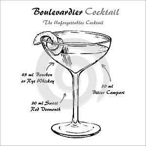 Boulevardier cocktail recipe vector with orange twist sketch