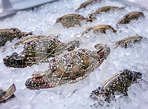 Bound Fresh Thai Crab on Ice in the Seafood Market