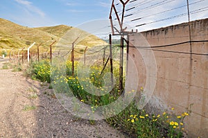 Boundary fence.