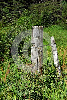 Boundary Fence