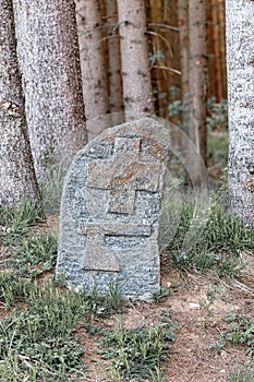 Boundary marker on rock at forest