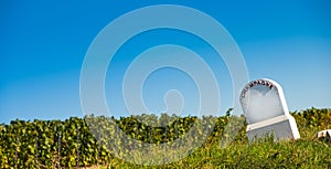 Boundary monument Champagne vineyards in the Cote des Bar area