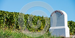 Boundary monument Champagne vineyards in the Cote des Bar area