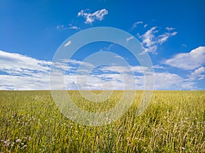 Boundless field to the horizon line