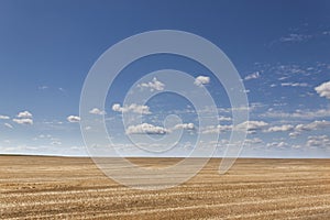 Boundless fields after harvest in Summer time.