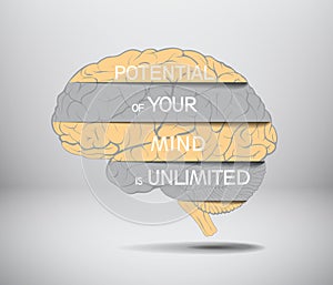 boundless human capabilities concept